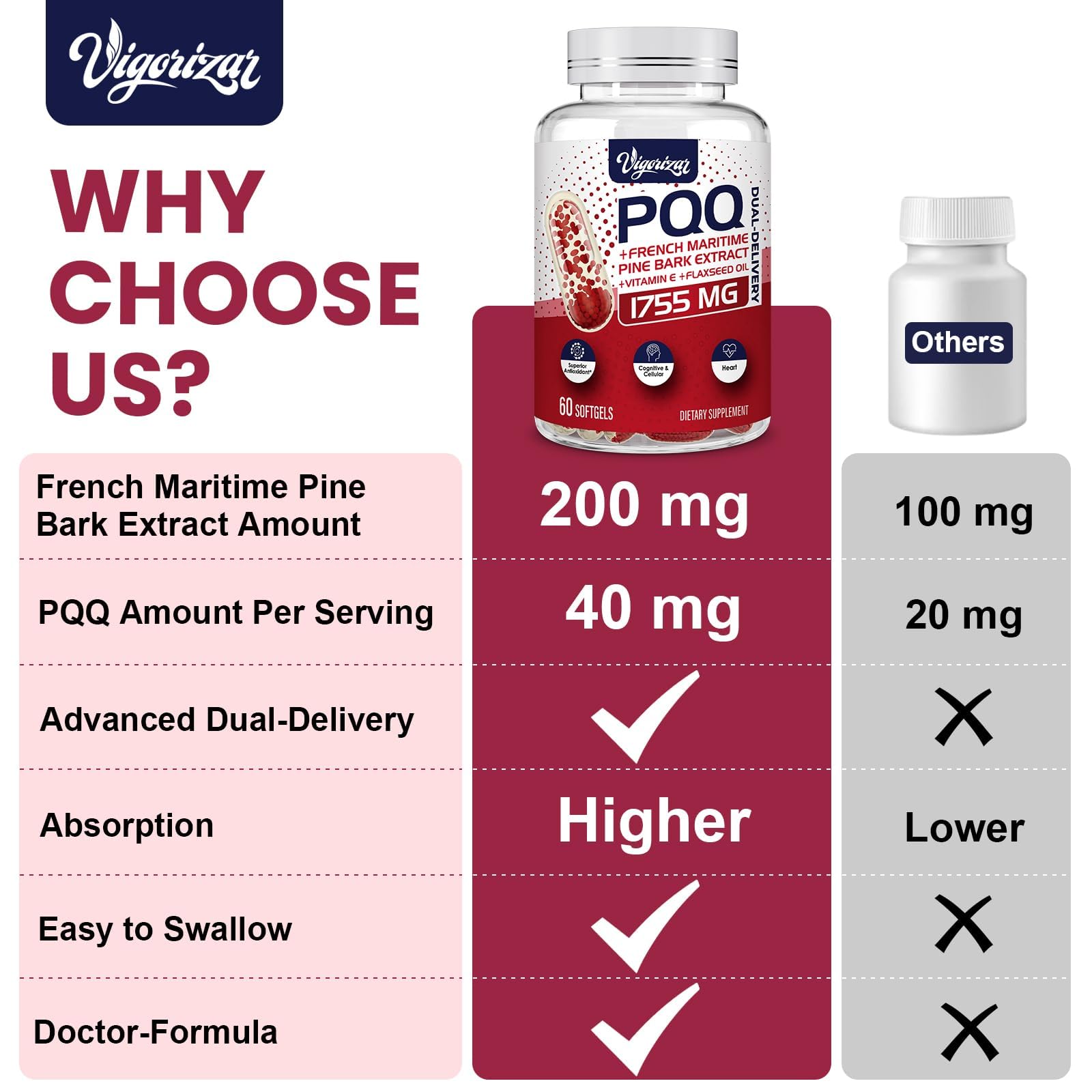 Vigorizar Pycnogeno PQQ dosage image emphasizing potential energy support.