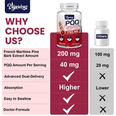 Vigorizar Pycnogeno PQQ dosage image emphasizing potential energy support.