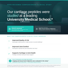 VILLAR BIOTECH clinical study MRI note visual references research
