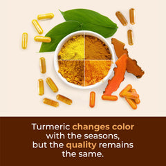 Vimerson Health antioxidant protection icon highlights oxidative balance