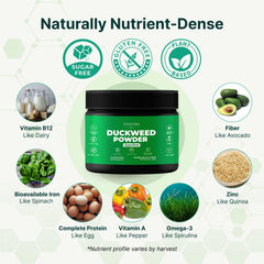 VINATURA Duckweed Powder in a smoothie for fiber-rich daily nutrition.
