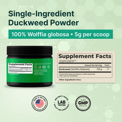 VINATURA Duckweed Powder 5 g scoop ready for a quick protein boost.