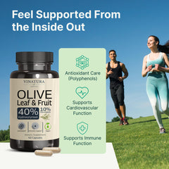 VINATURA Hydroxytyrosol olive fruit extract 40% – potent polyphenols for oxidative balance