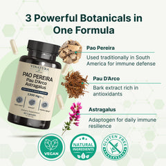 VINATURA ingredient blend featuring Pao Pereira, Pau D'Arco, and Astragalus.
