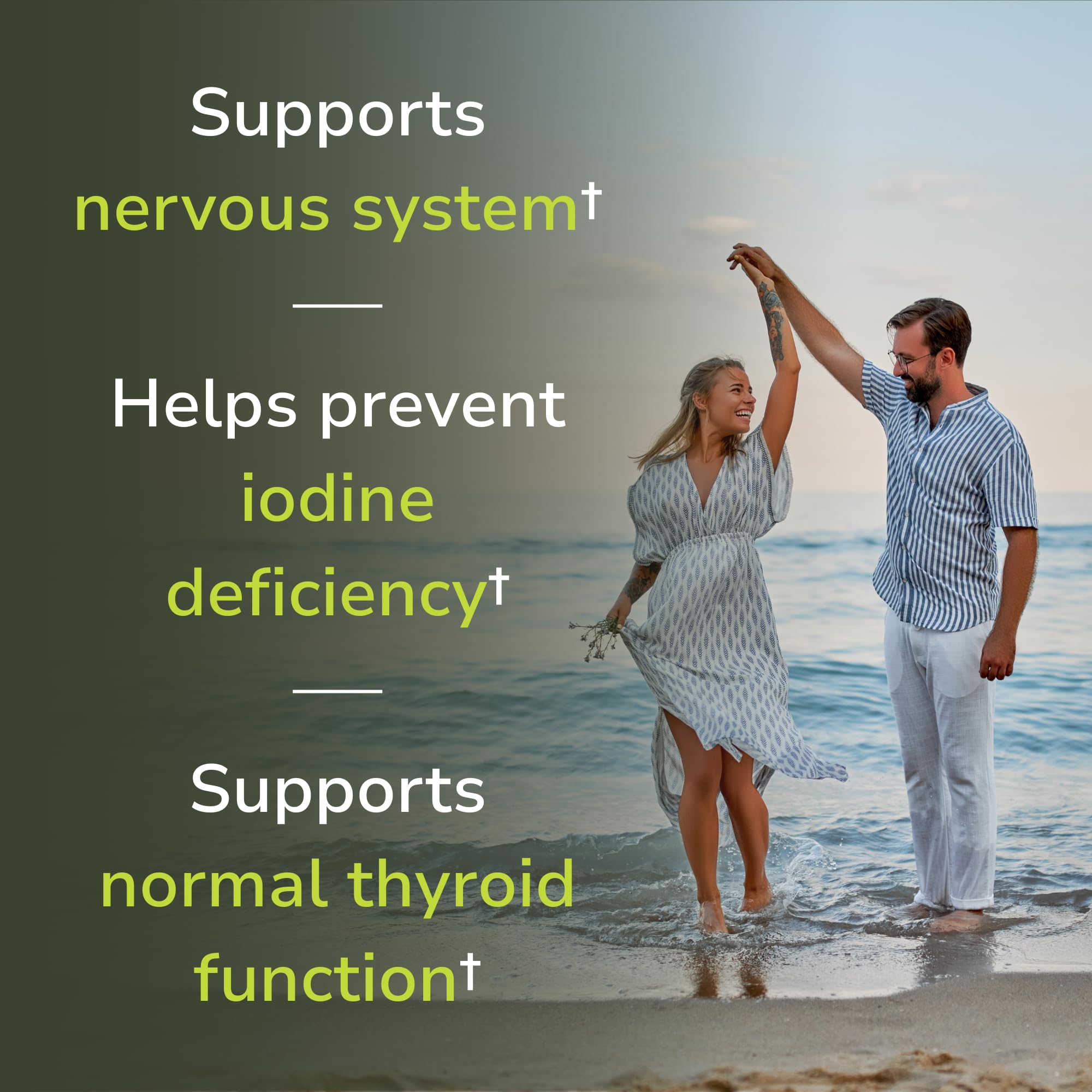 Vinco Liposomal Iodine ingredients include kelp and dulse