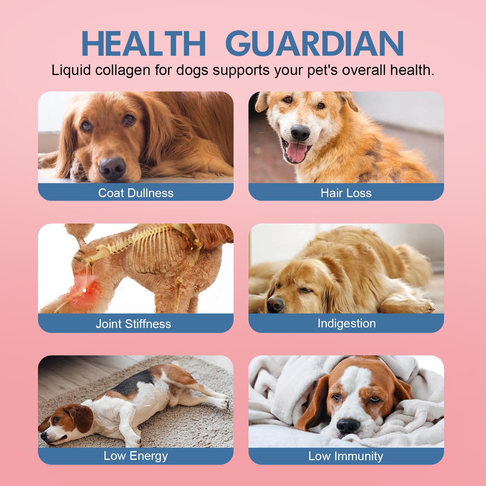 Vincofoo Healthy Petz Collagen for Dogs biotin supports healthy skin and nails