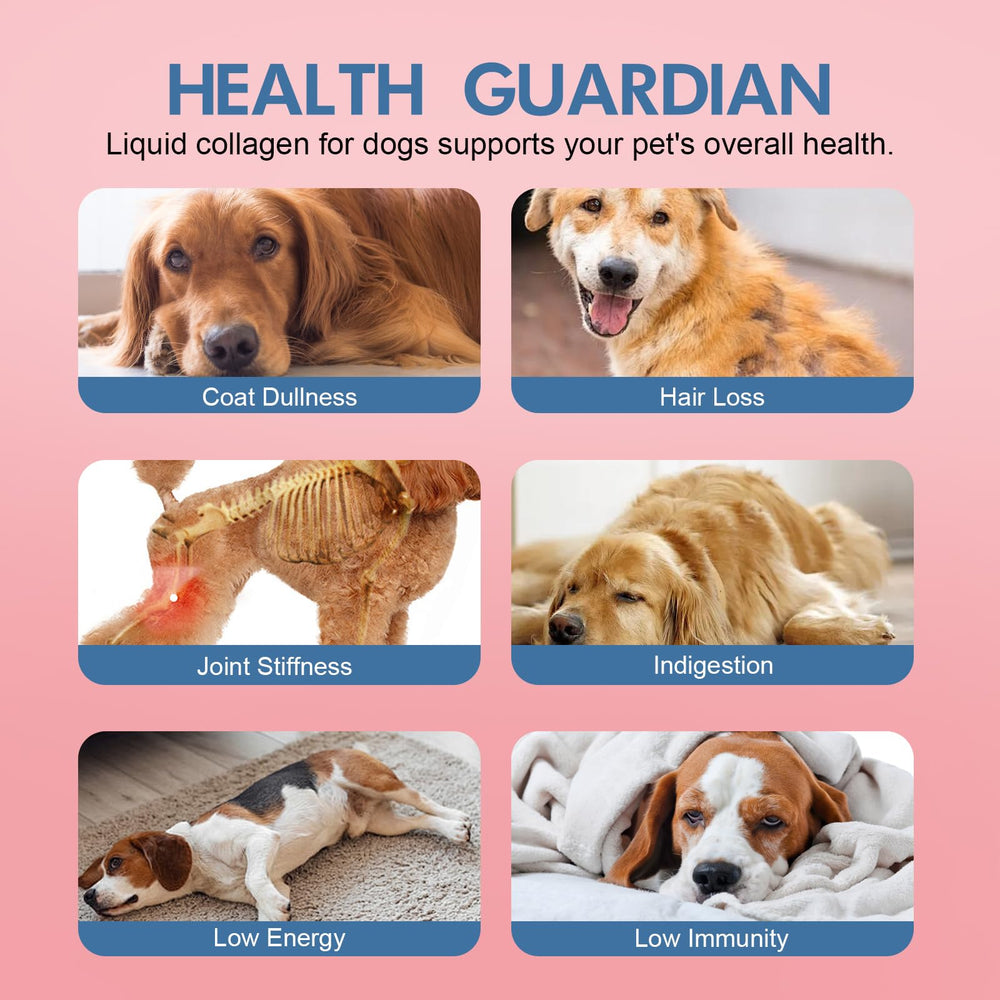 Vincofoo Healthy Petz Collagen for Dogs biotin supports healthy skin and nails
