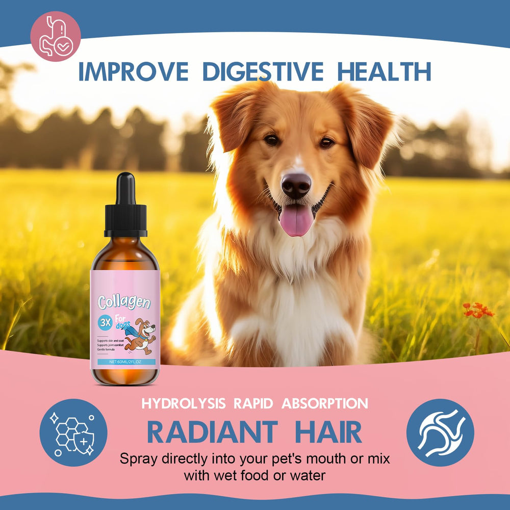 Vincofoo Healthy Petz Collagen for Dogs hyaluronic-acid promotes hydration