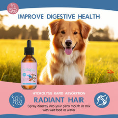 Vincofoo Healthy Petz Collagen for Dogs hyaluronic-acid promotes hydration