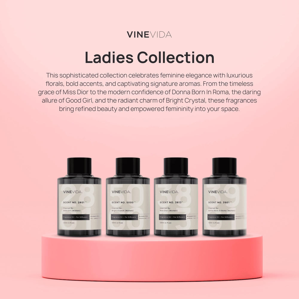 VINEVIDA cold air diffuser setup evenly distributes fragrance.