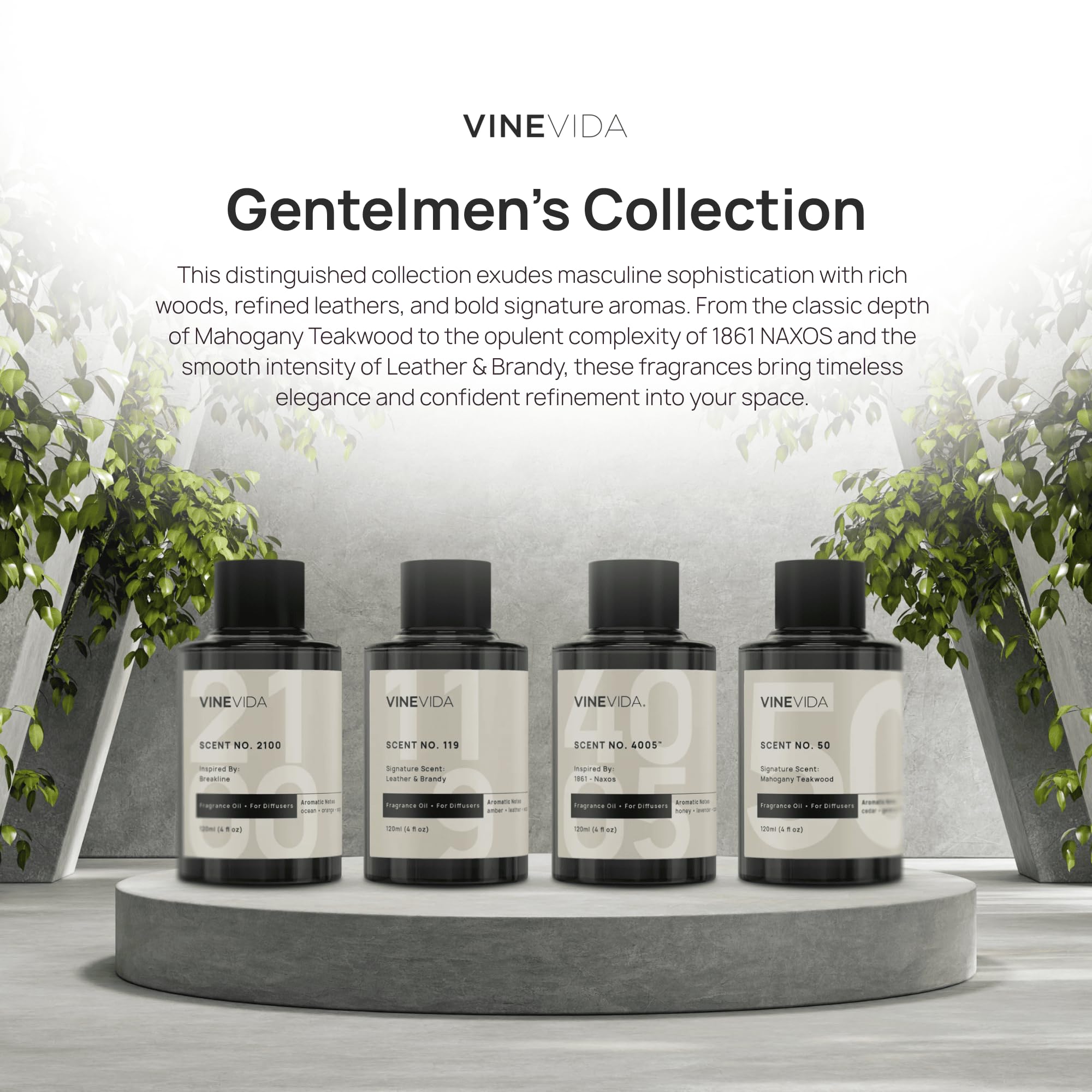 VINEVIDA Gentelmen's long-lasting scent displayed in a room setting.