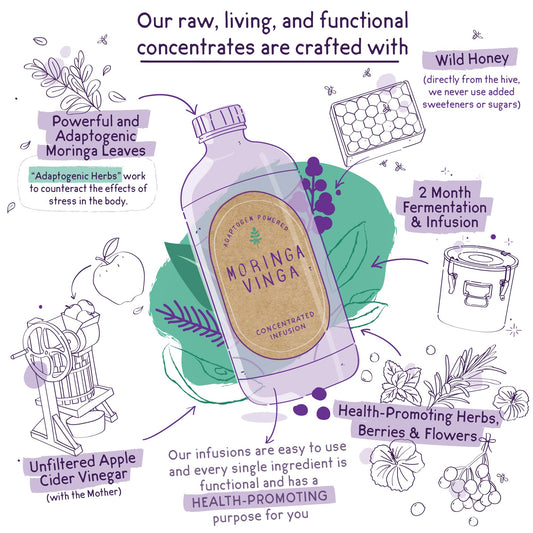 VINGA cold-pressed moringa close-up highlighting nutrient-rich texture