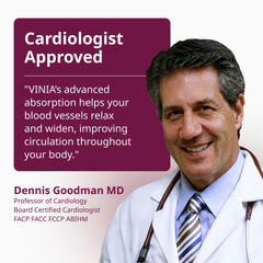 VINIA arterial-dilation graphic suggests improved blood flow with daily use.