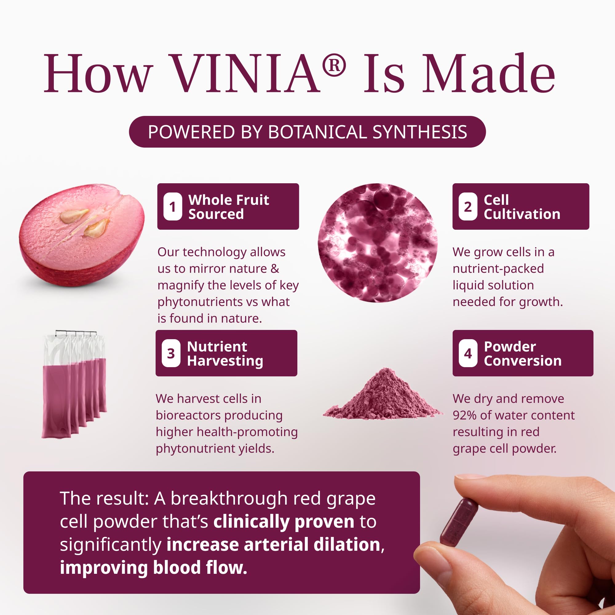 VINIA bottle in bright light, implying sustained resveratrol activity in the bloodstream.