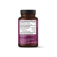 VINIA capsule close-up, showing smooth texture and bioavailable Piceid Resveratrol.