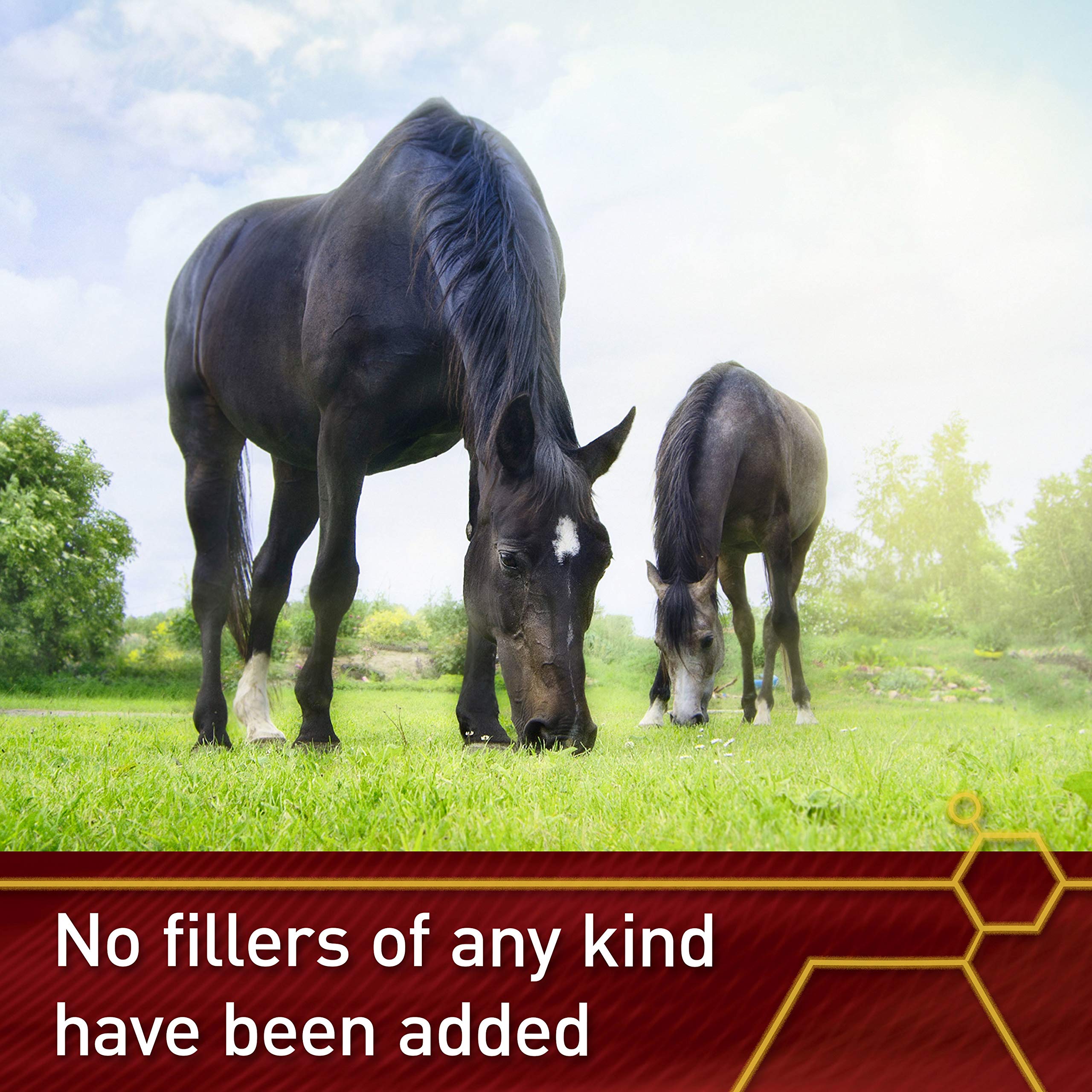Vita Flex Pro Pure C used by a senior horse in routine.