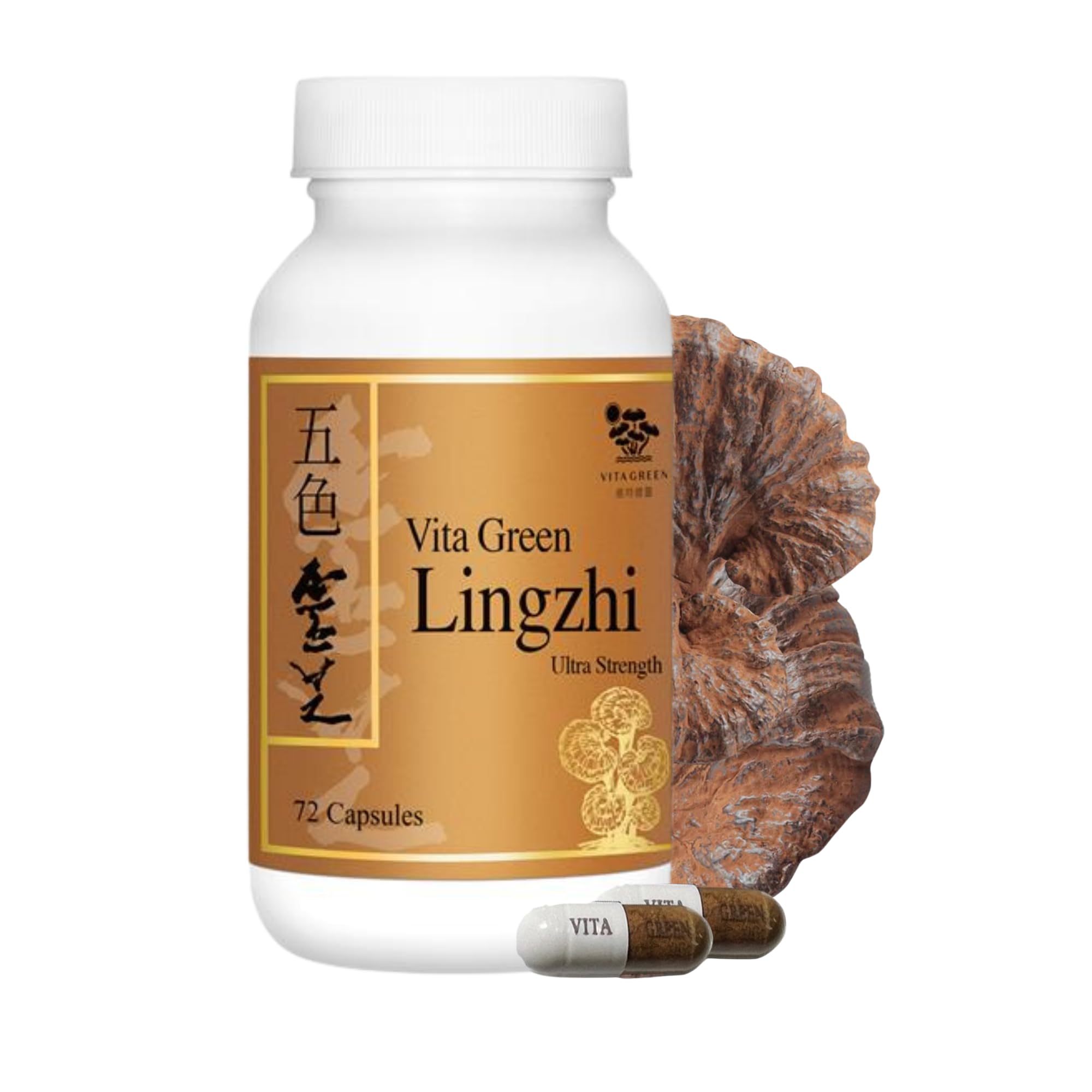 Vita Green Lingzhi bottle front view for steady daily energy.