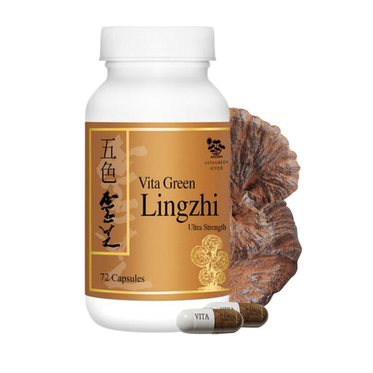 Vita Green Lingzhi bottle front view for steady daily energy.