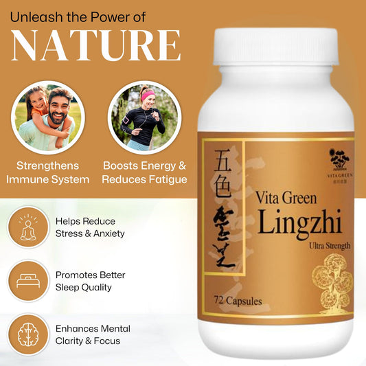 Vita Green Lingzhi capsules close-up highlighting natural antioxidants.