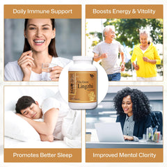 Vita Green Lingzhi capsules in hand suggesting energy and focus