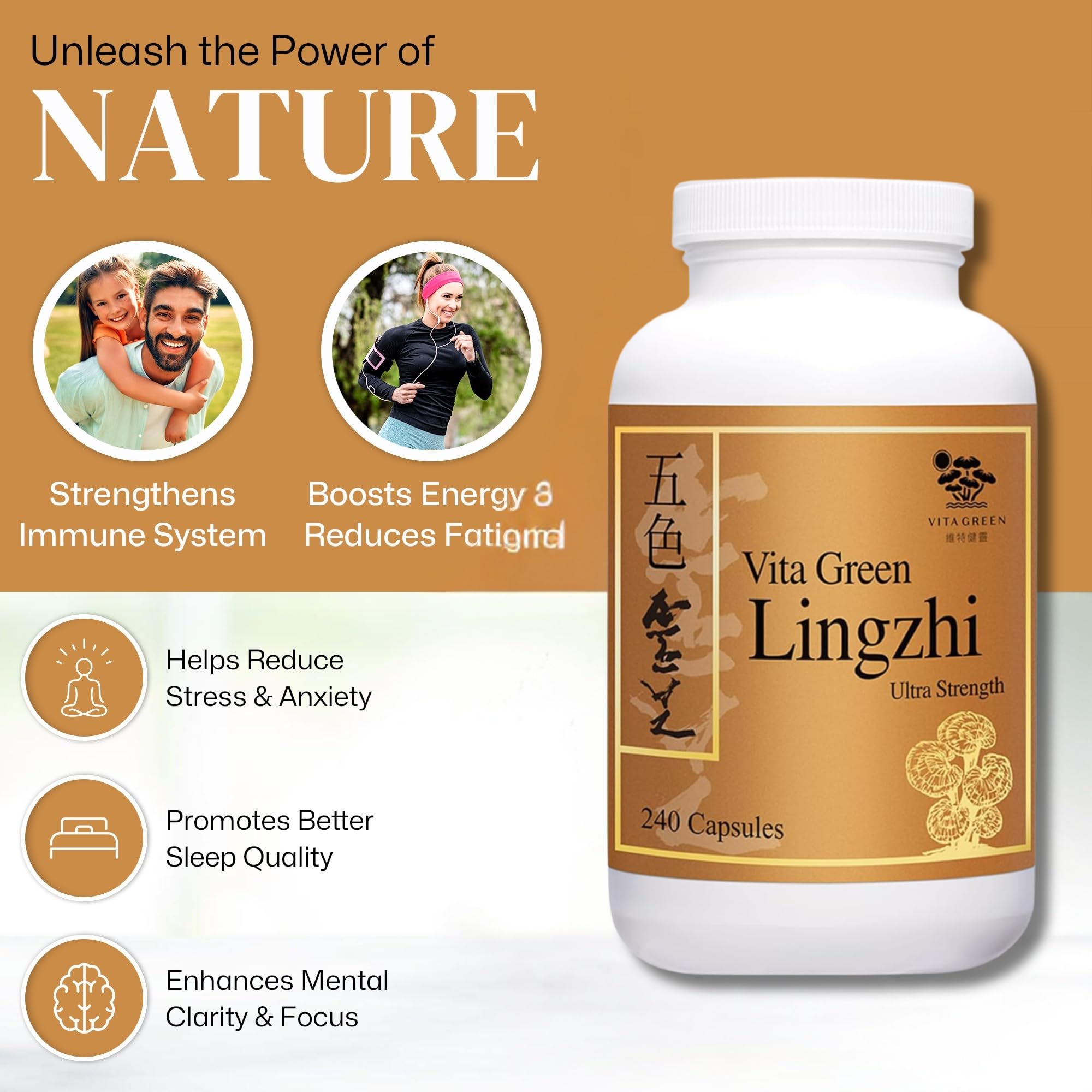 Vita Green Lingzhi packaging with capsules supports daily wellness routine
