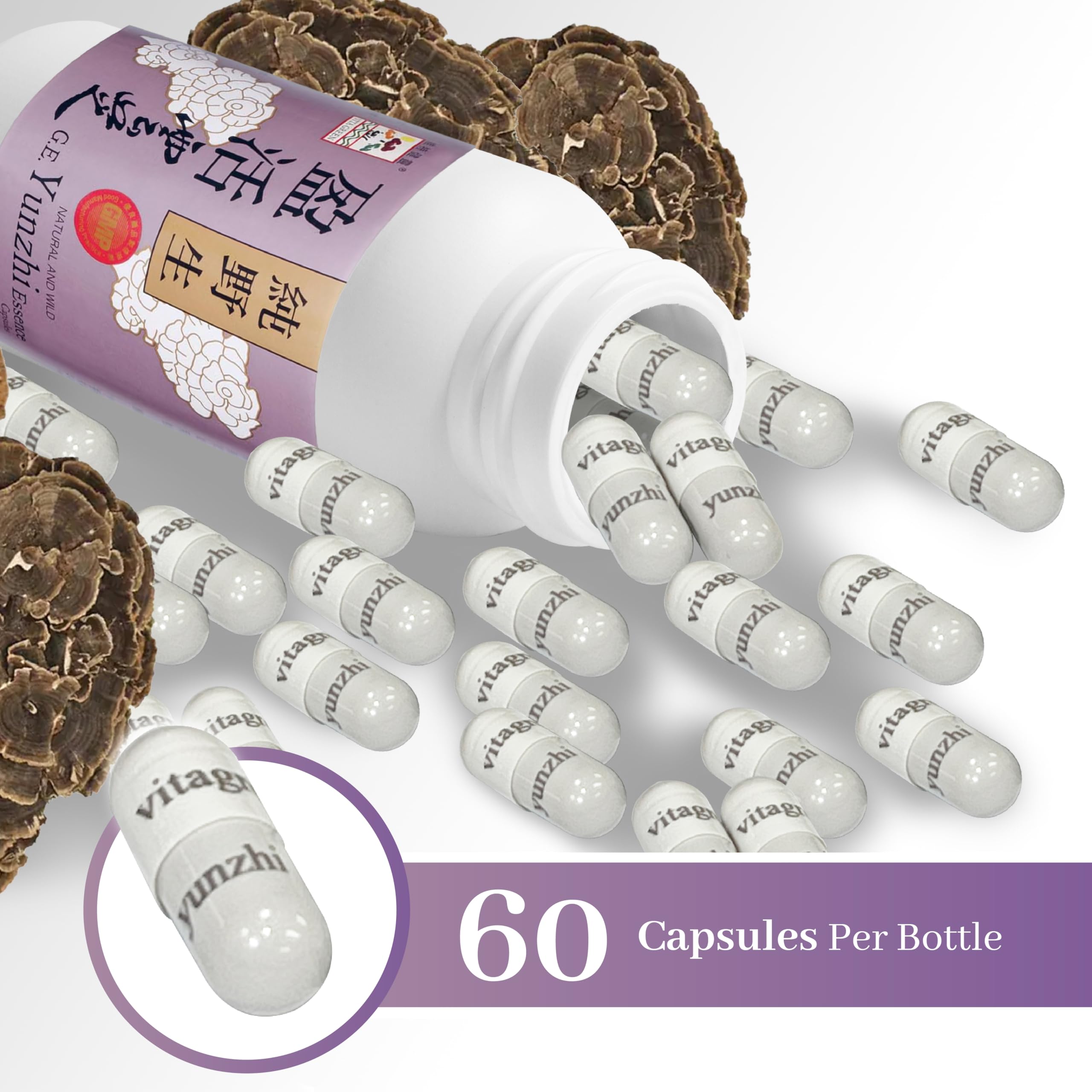 Detail of ingredients shows beta-glucan-rich extract from turkey tail.