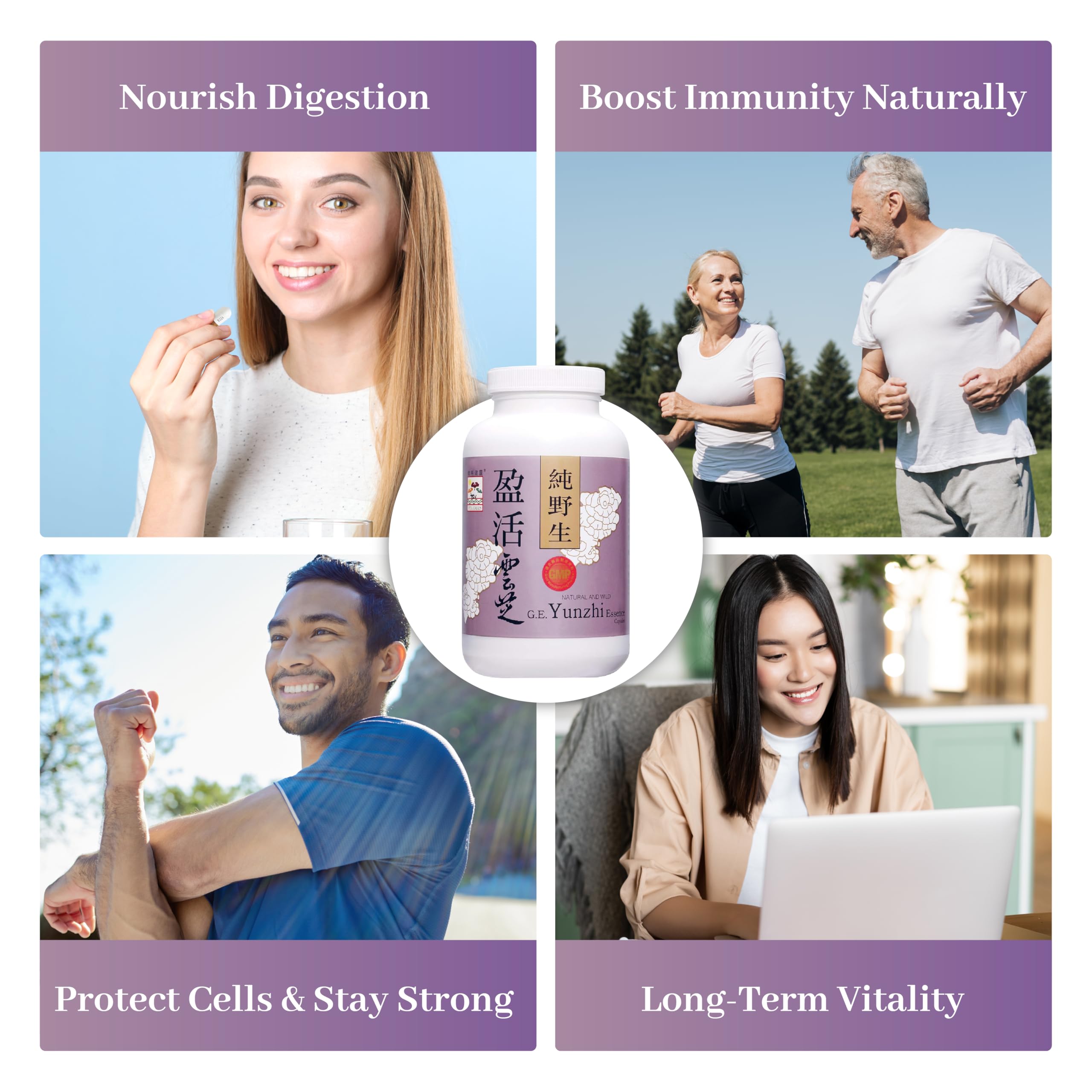 Front packaging of Vita Green Turkey Tail capsules signals trusted wellness branding.