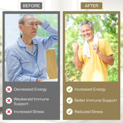 Vita Green Yin Yang capsules in hand illustrating portable daily wellness.