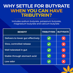 Vita Bloom Labs Tributyrin label details with dosage and ingredients.