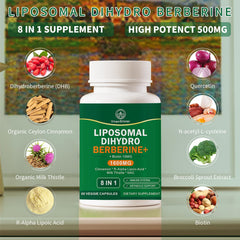 VITACRLLYNMN Dihydroberberine capsules with cinnamon motif indicate a harmonious formula