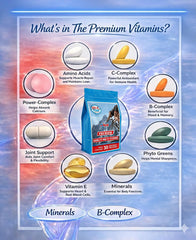 Vital 4U Vitamin compact packaging ideal for travel.