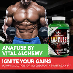 Anafuse Epicatechin capsules displayed for muscle support and recovery use.