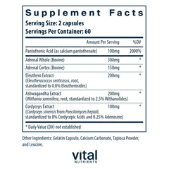 Vital Nutrients Adrenal Support with ashwagandha root close-up for calm support.