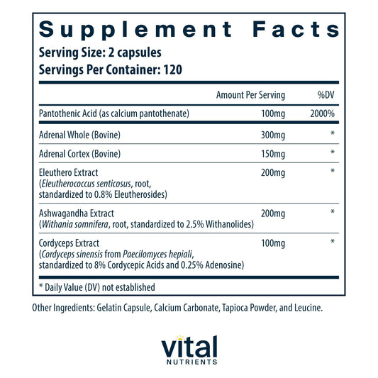Vital Nutrients Adrenal Support capsules ready for daily use to sustain energy.