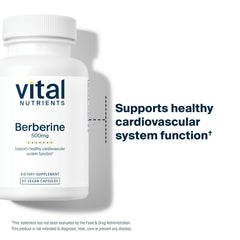 Vital Nutrients Berberine nutrition panel illustrating clean-label, non-GMO ingredients