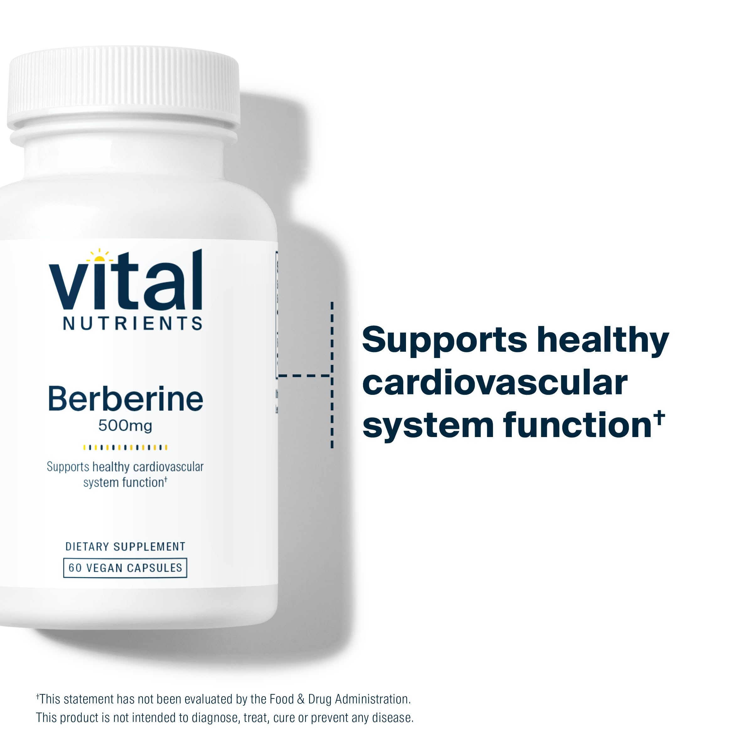 Vital Nutrients Berberine vegan capsules on bottle indicating trusted, practitioner-backed quality