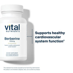 Vital Nutrients Berberine vegan capsules on bottle indicating trusted, practitioner-backed quality