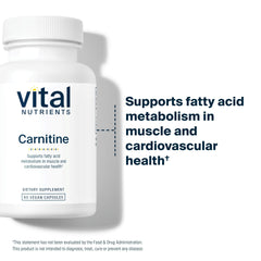 Capsules close-up of Vital Nutrients Carnitine 500mg