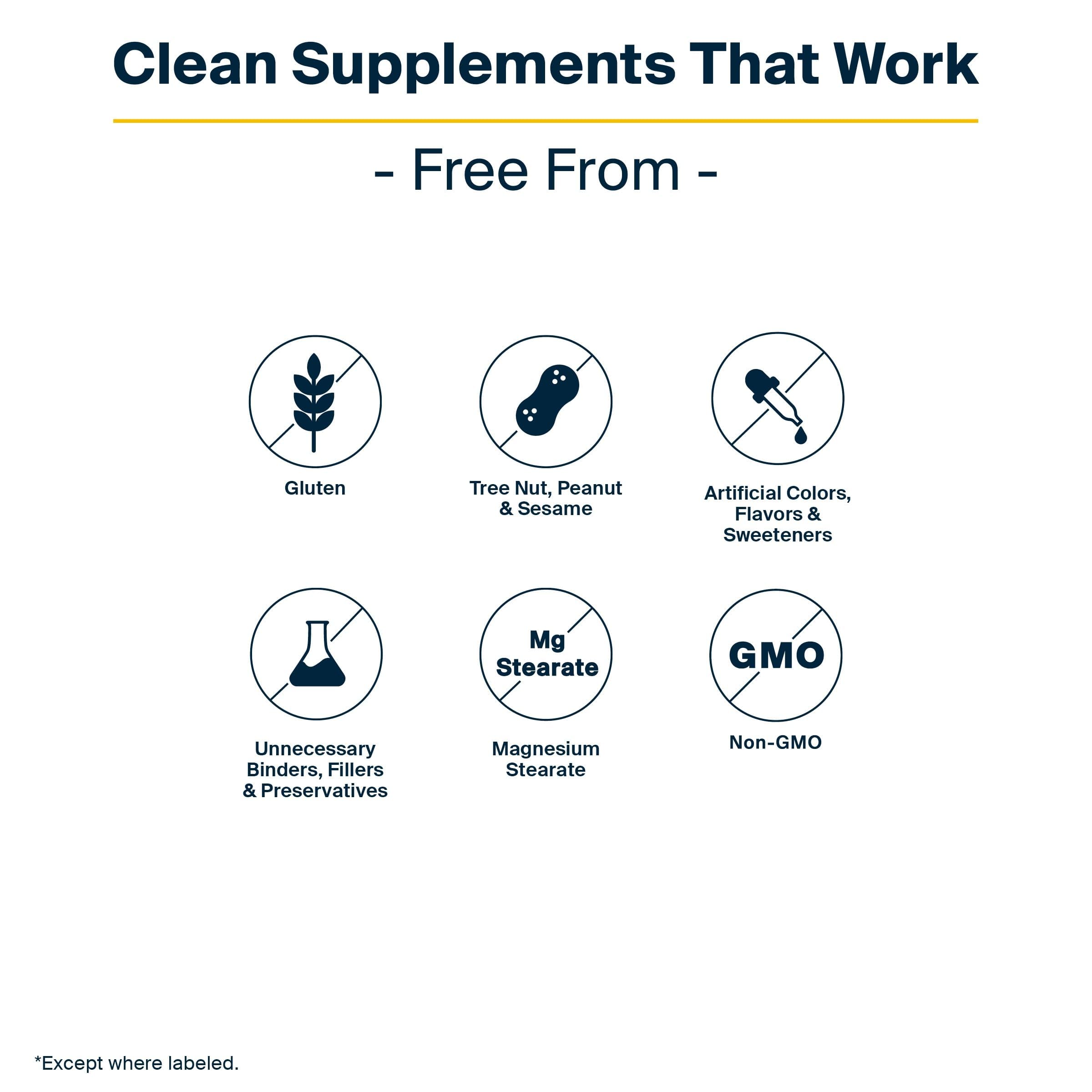 Vital Nutrients GI Repair Powder glass jar on a clean countertop for everyday digestion support.
