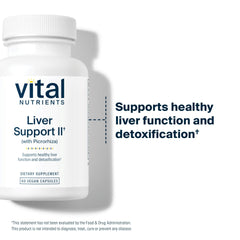 Independent lab testing and quality assurance seal on Liver Support II