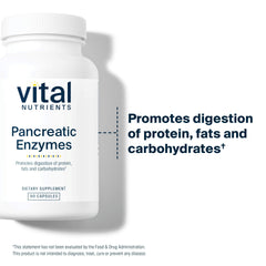 Vital Nutrients Pancreatic Enzymes capsules laid out