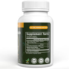 Vital Nutritive Vital Gut Health compact packaging for travel and daily wellness.