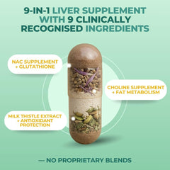 Vital Nutritive Vital Liver Support artichoke detail highlighting bile production support.