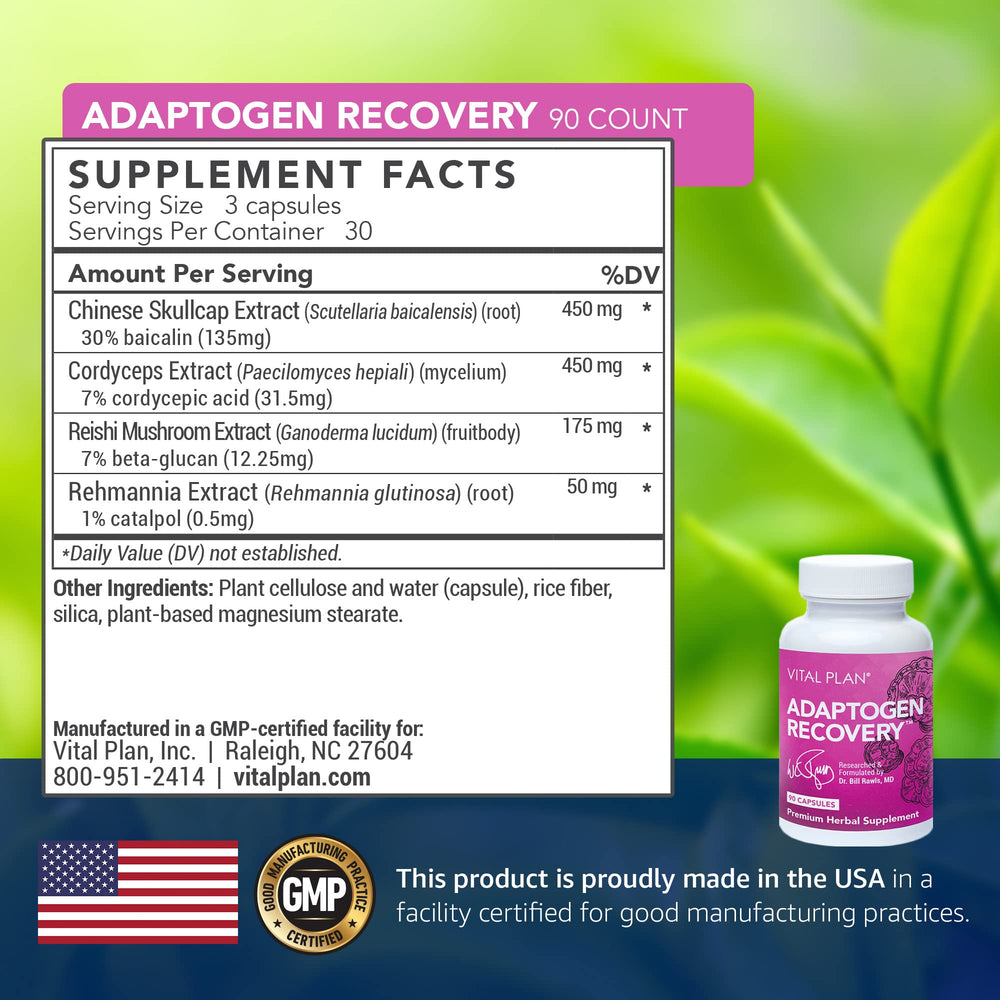 Vital Plan Chinese Skullcap herbs close-up focusing on antioxidant-rich components