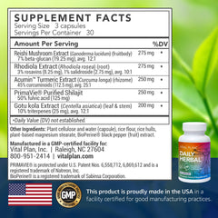 Vital Plan capsules close-up highlights daily energy and resilience.