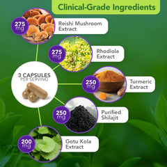 Vital Plan packaging box communicates premium ingredients and Dr. Rawls endorsement.