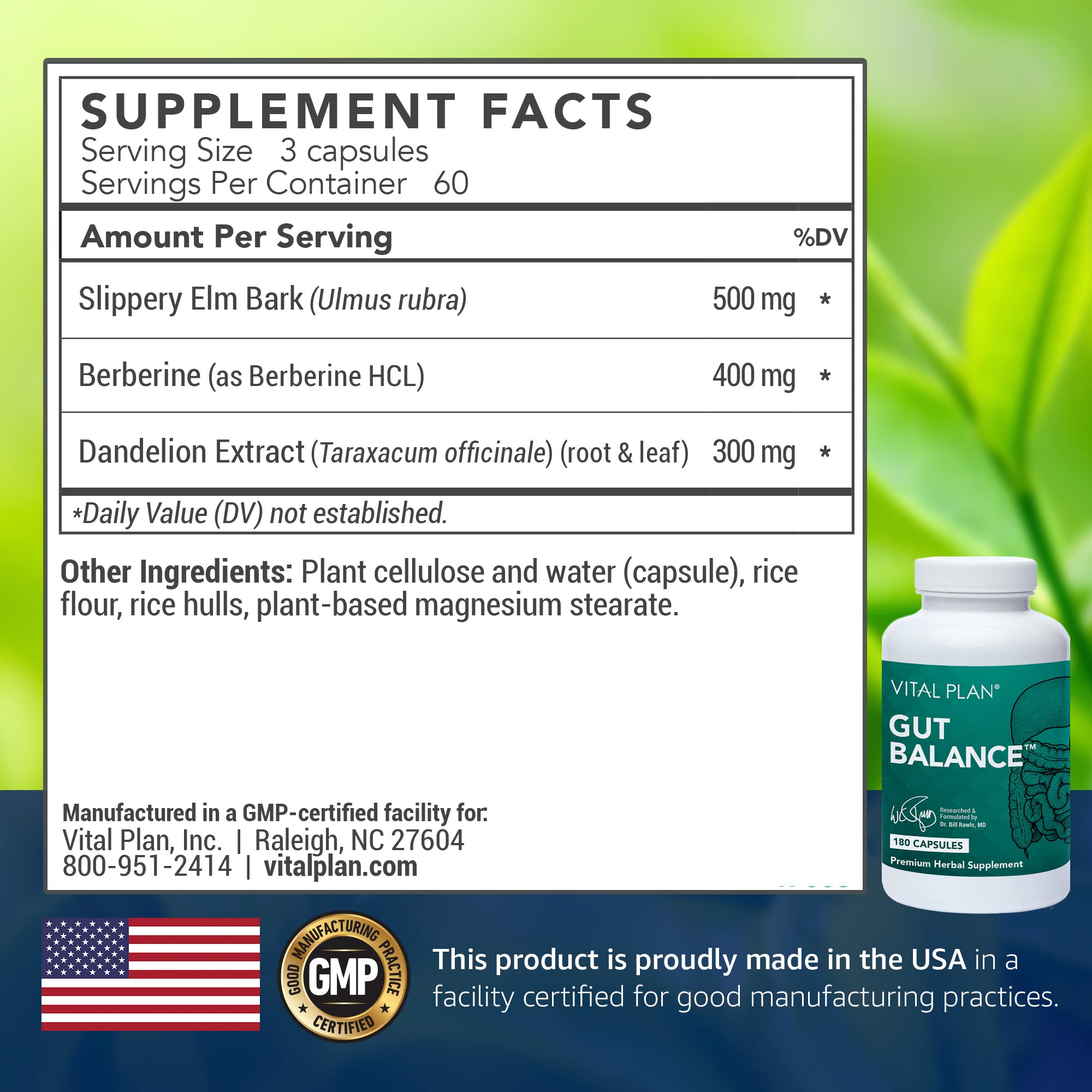 Vital Plan Gut Balance label close-up highlighting transparent ingredient listing for trust.