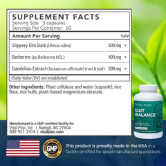 Vital Plan Gut Balance label close-up highlighting transparent ingredient listing for trust.