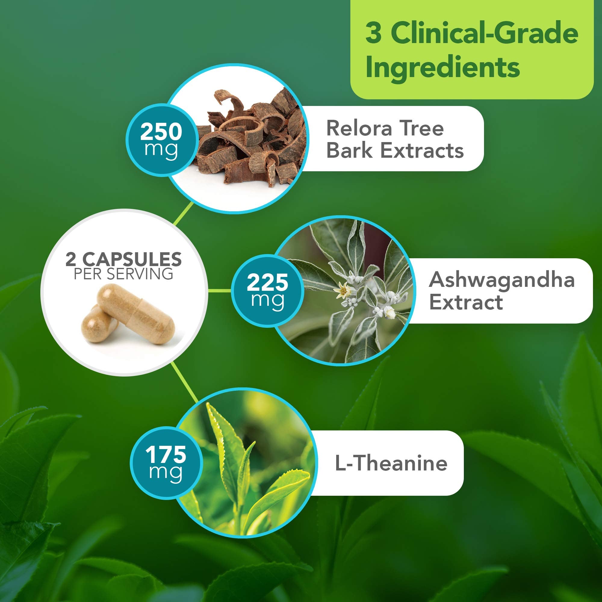 Vital Plan HPA Balance Sensoril Ashwagandha high-potency adaptogen