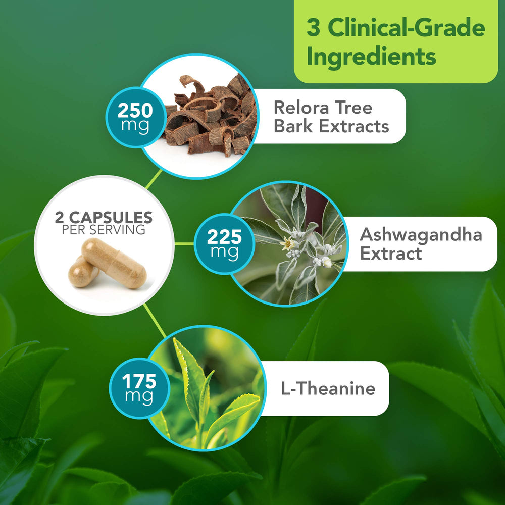 Vital Plan HPA Balance Sensoril Ashwagandha high-potency adaptogen